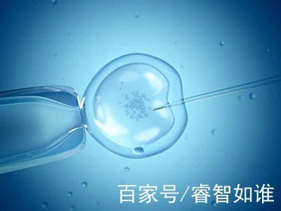 极光生殖
